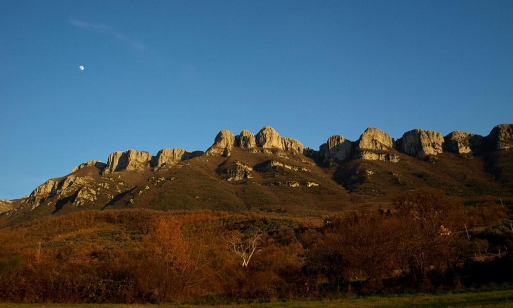 Agriturismo Al Gallo Verde Altavilla Silentina Esterno foto