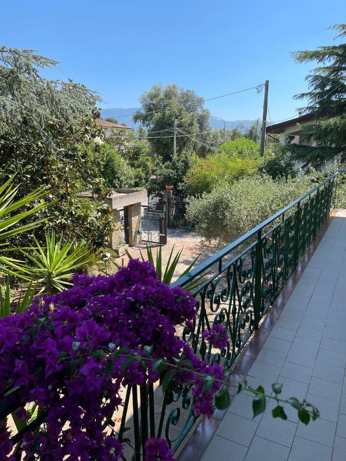Agriturismo Al Gallo Verde Altavilla Silentina Esterno foto